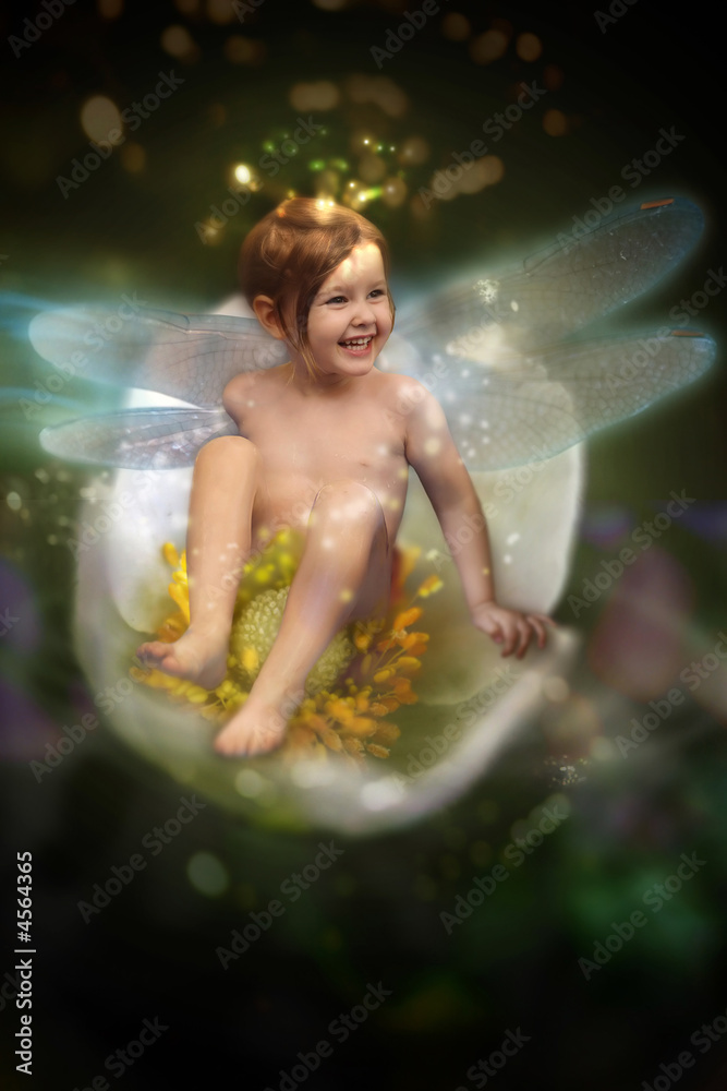 Little Fairy