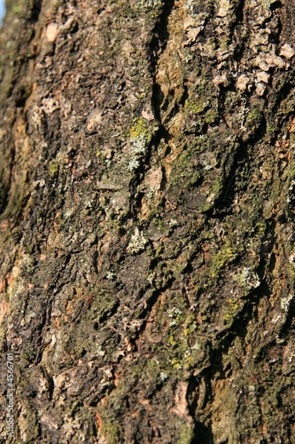 Texture