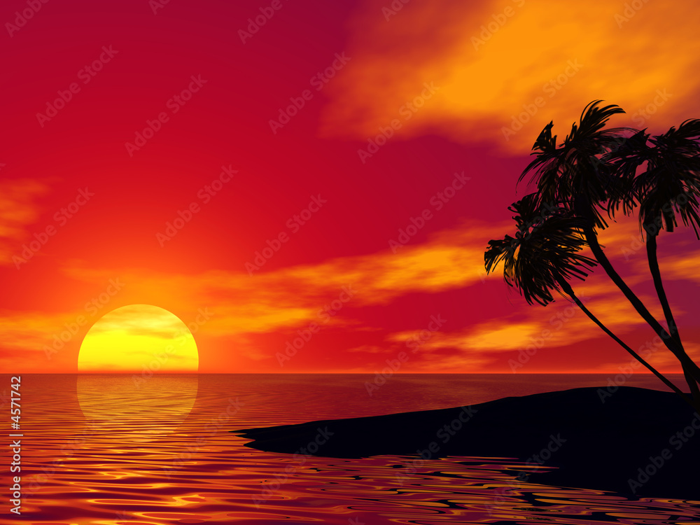 Palm tree