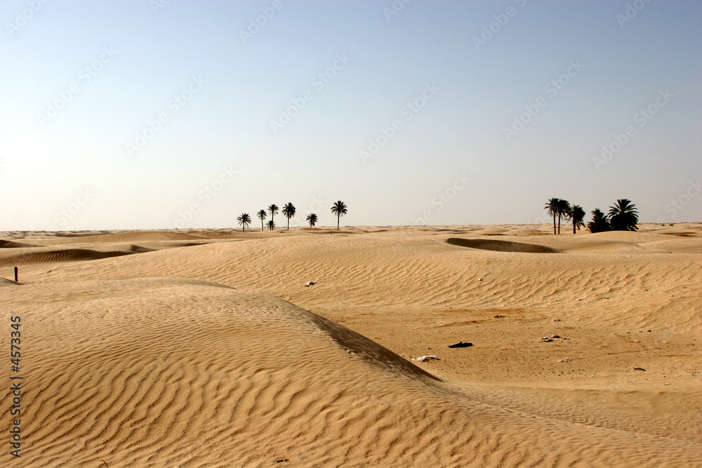 Sahara Desert, popular travel destination Sahara Desert, popular travel destination