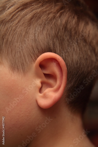 Foto Ear