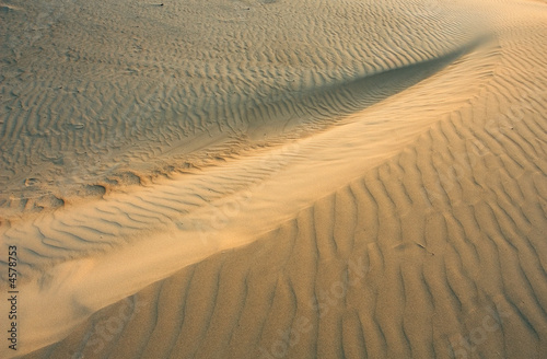 Dune