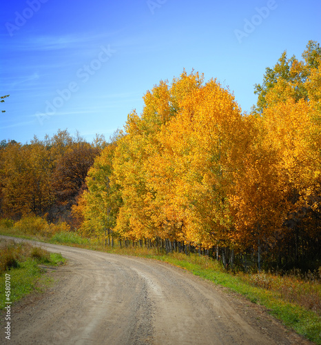 Dirt Road, Autumn Foliage and Blue Sky 2
