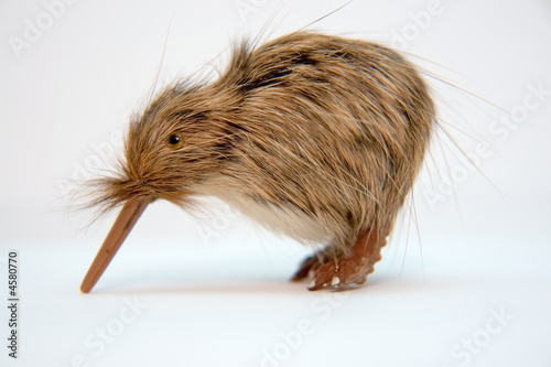 small kiwi toy bird