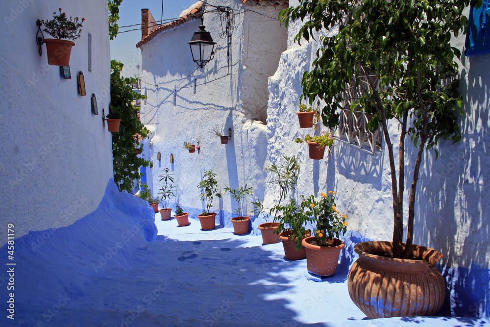 Naklejka premium ruelle bleue à chefchaouen au maroc