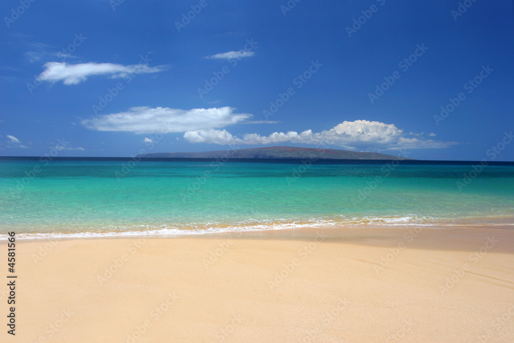Immaculate tropical beach