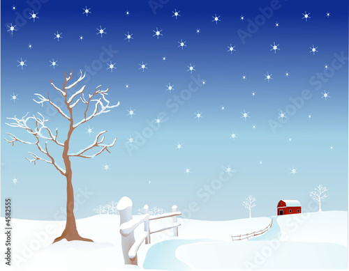 Winter Pasture
