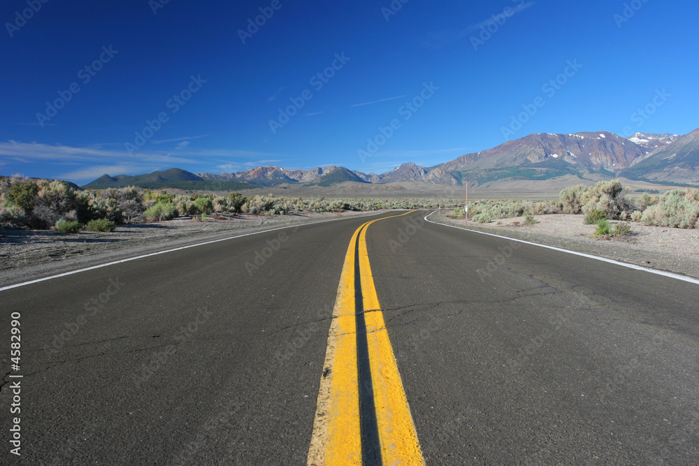 Naklejka premium Double yellow line