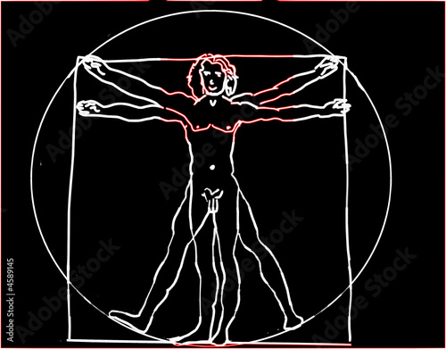 Proportionsstudie