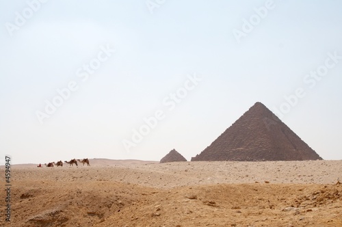 Caravan near pyramid