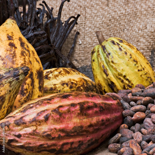 Le chocolat