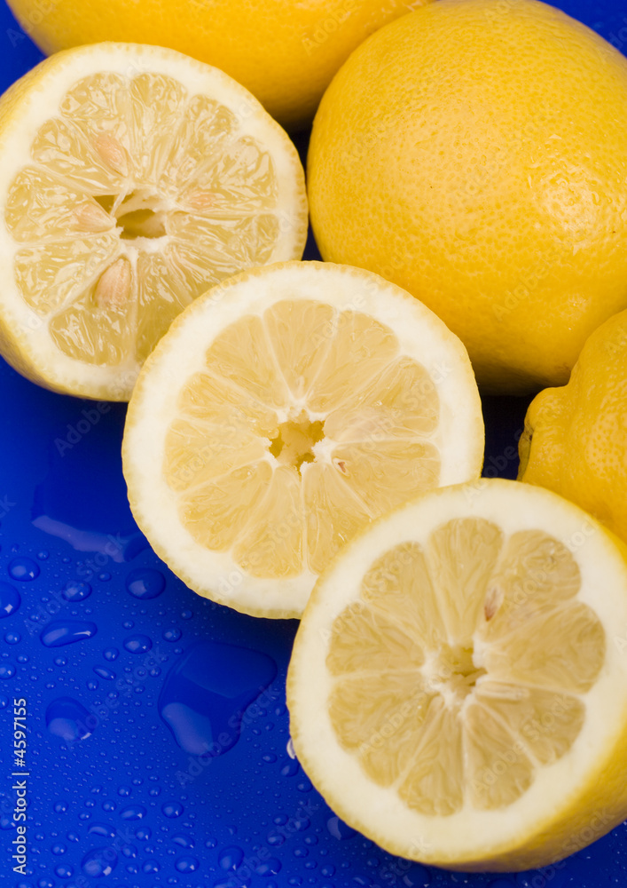Citrus Citrus