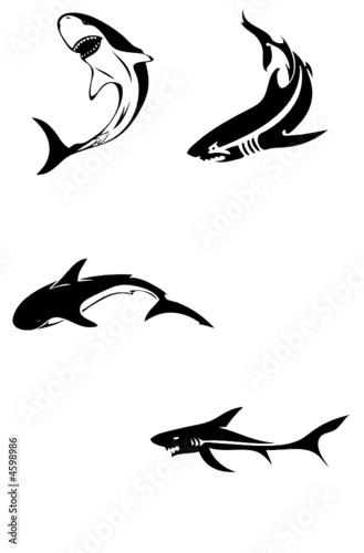 shark vector tatoo