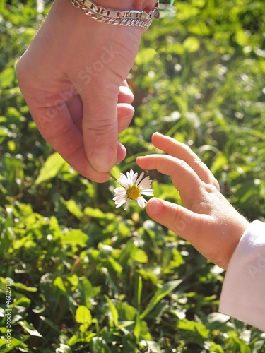 child and mother hand 