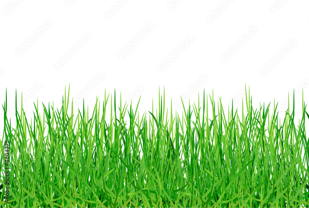 Herbes folles Herbes folles