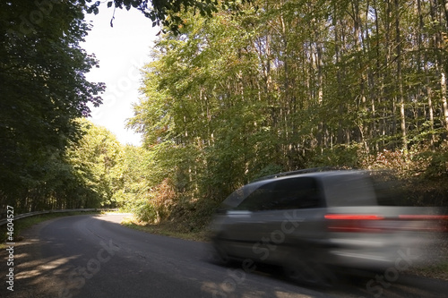 Road in the forest