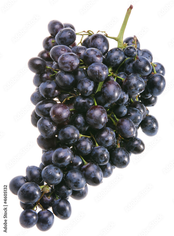 Blue grape Blue grape