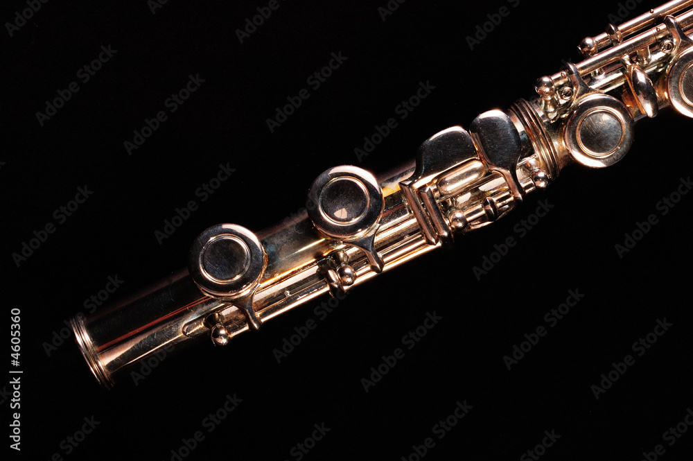 Obraz premium Transverse flute