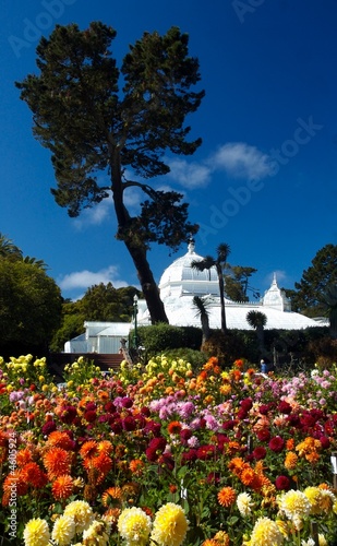 Photography Golden gate park San francisco California