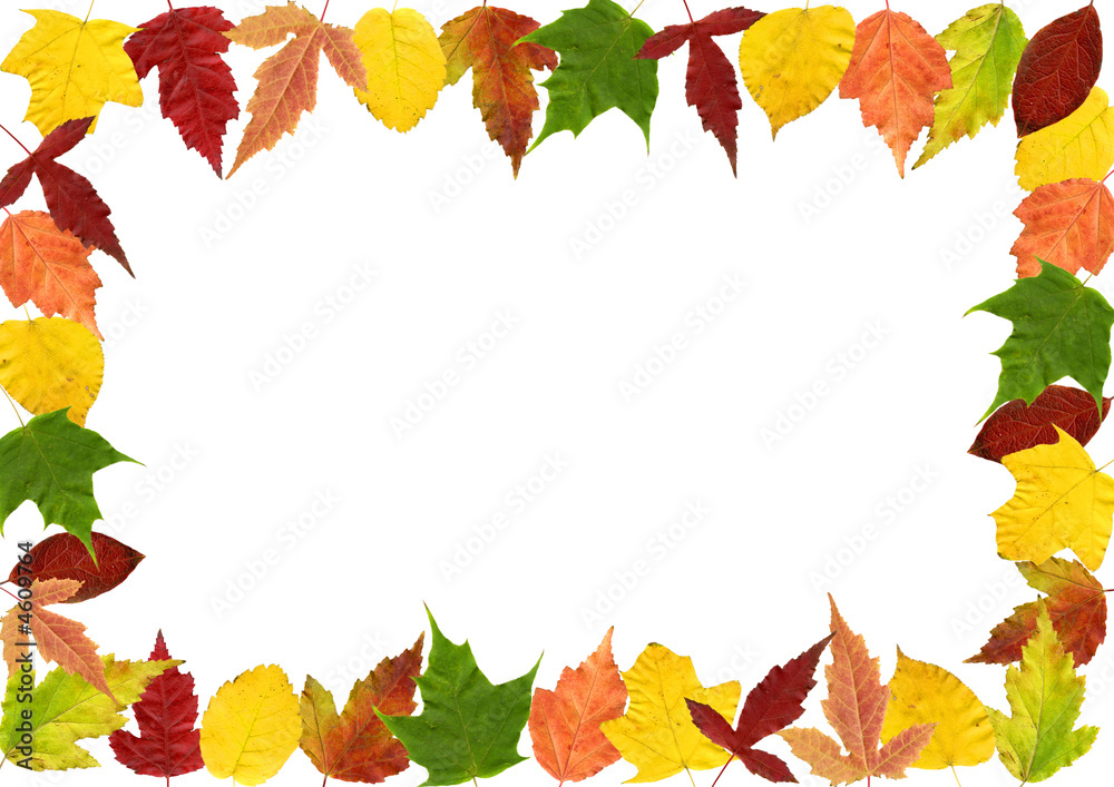 frame made of autumn leaves frame made of autumn leaves