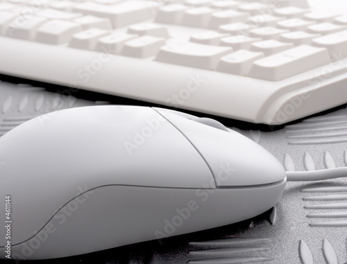 computer mouse