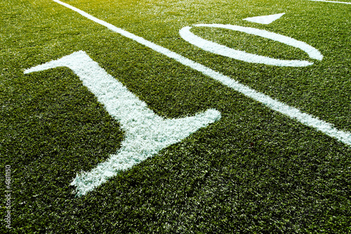 Football Field 10 Yard Line
