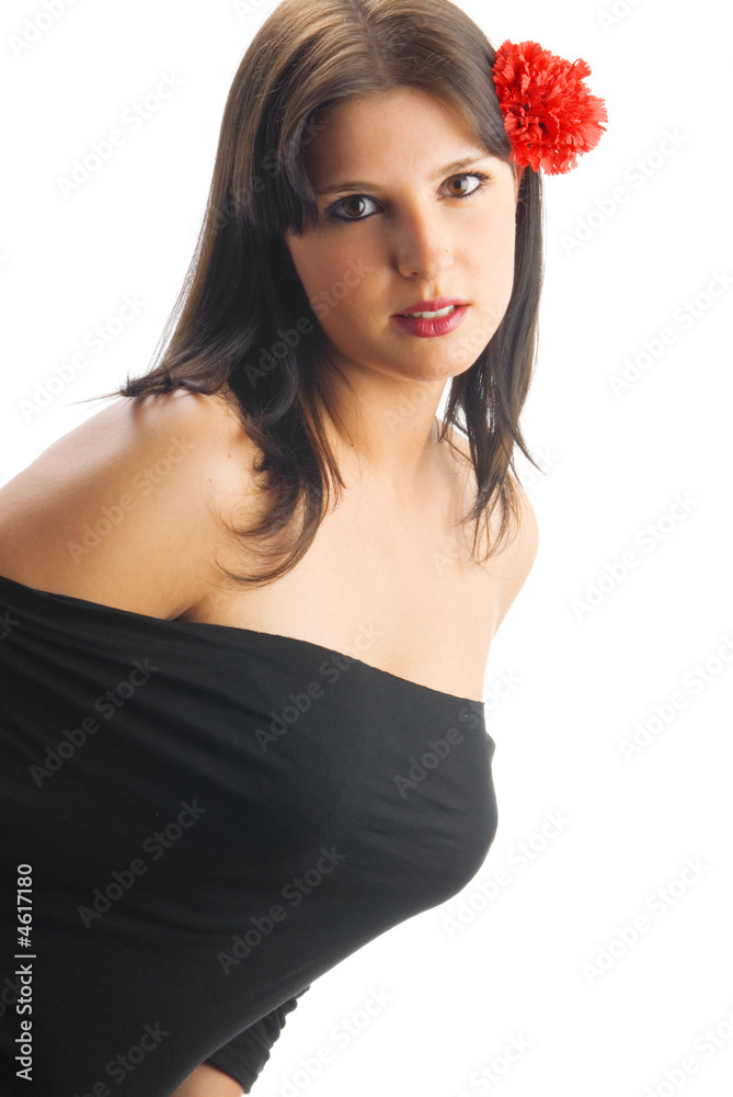 Fototapeta premium red carnation
