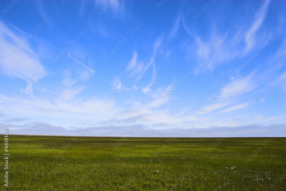 Fototapeta premium Arctic tundra