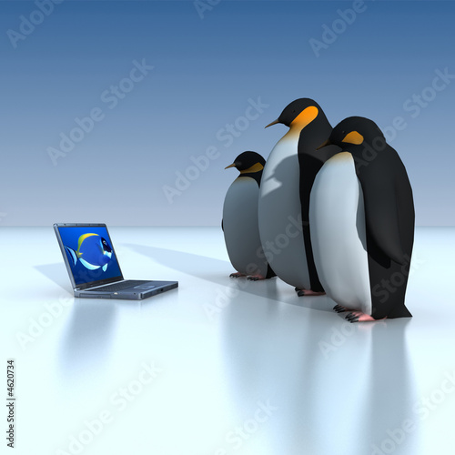 penguins