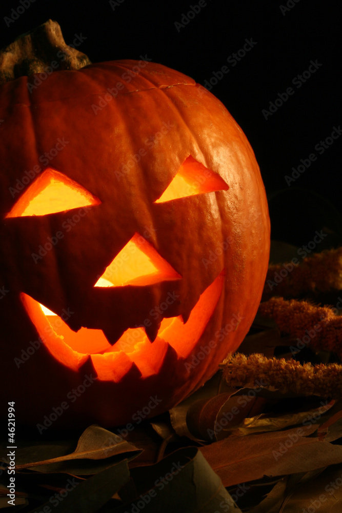 Fototapeta premium Jack O' Lantern (vertical)