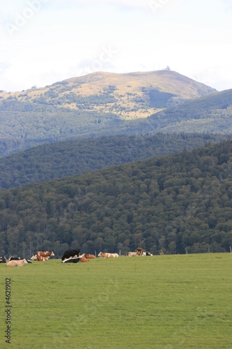 Vue sur le sommet du Grand- Ballon (Vosges - Alsace)