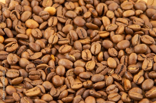 Grains of coffee © Leonid Karelin