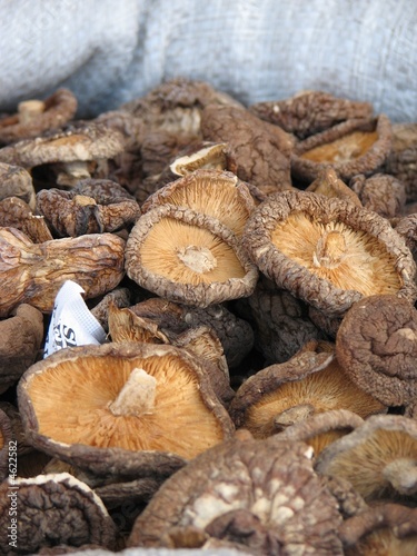 Dried mushrooms