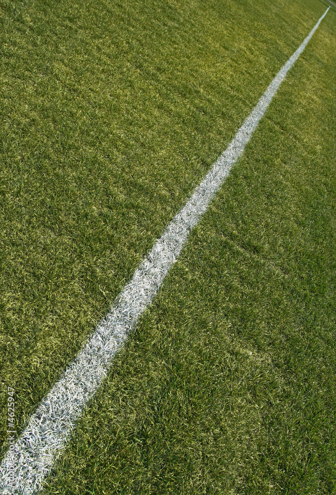 Boundary line of a green playing field Boundary line of a green playing field