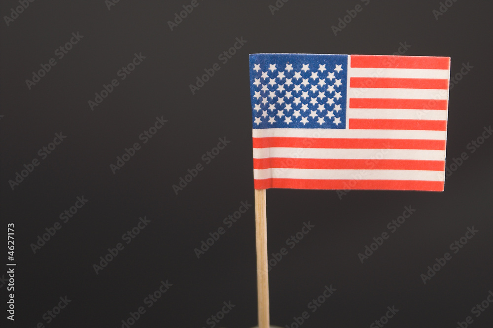 Fototapeta premium American Flag - Toothpick