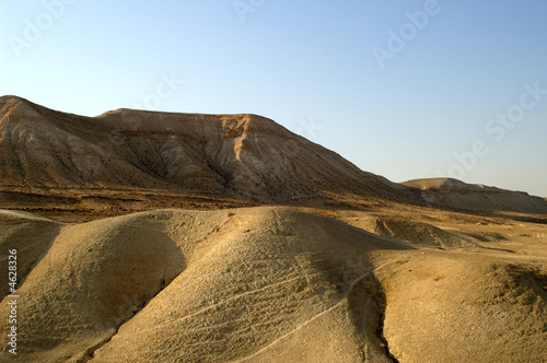 arava desert - dead landscape  background