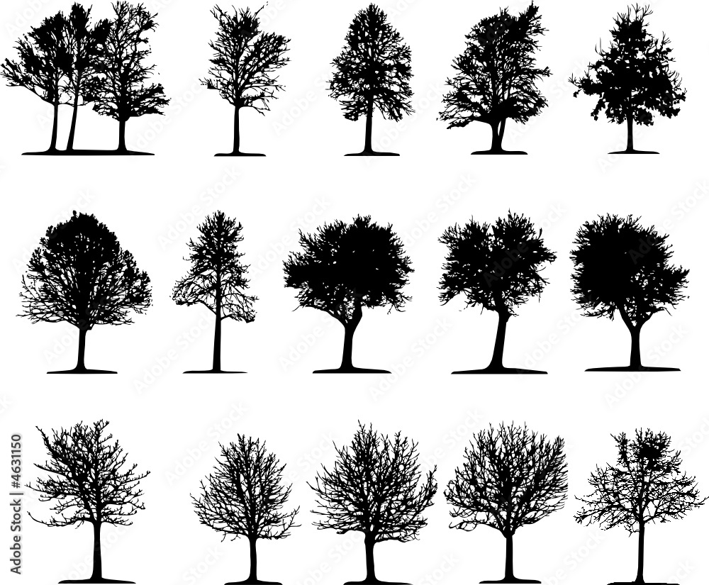 Naklejka Trees (vector)