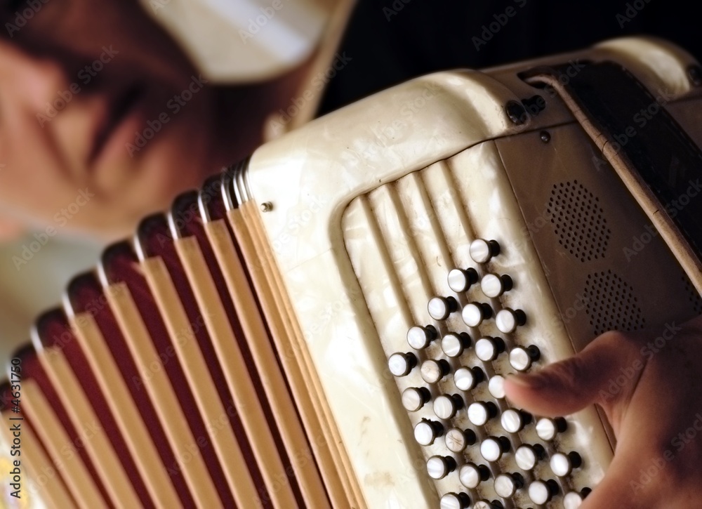 Accordéoniste Images – Browse 67 Stock Photos, Vectors, and Video | Adobe  Stock