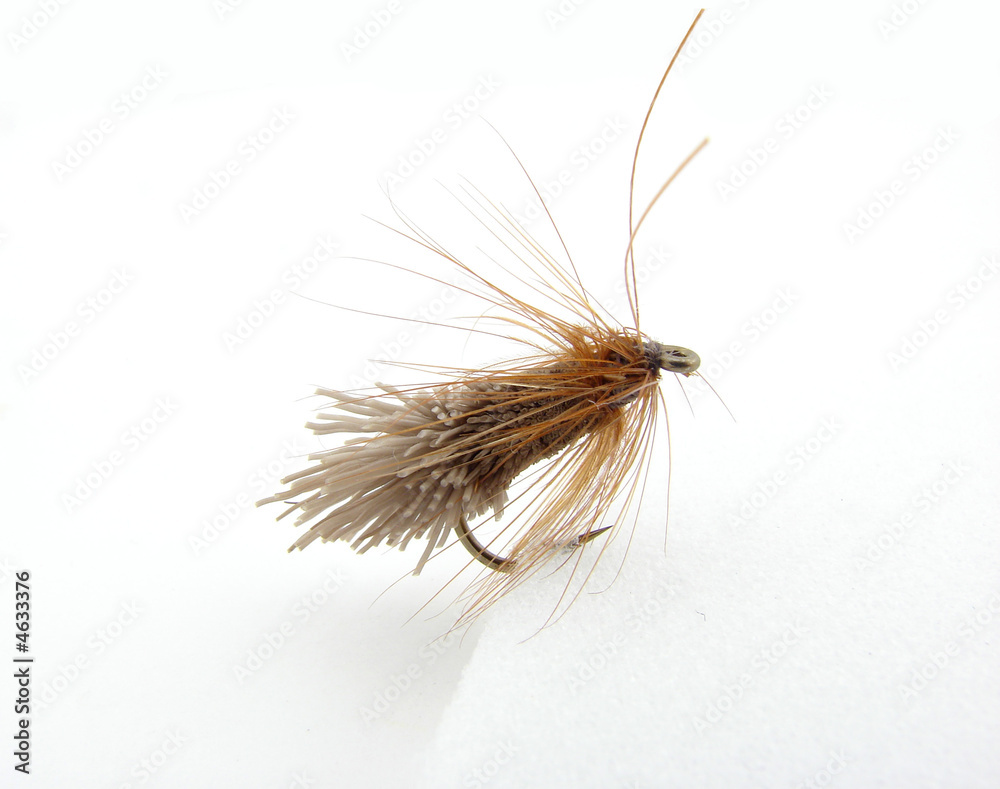 Obraz premium Lure