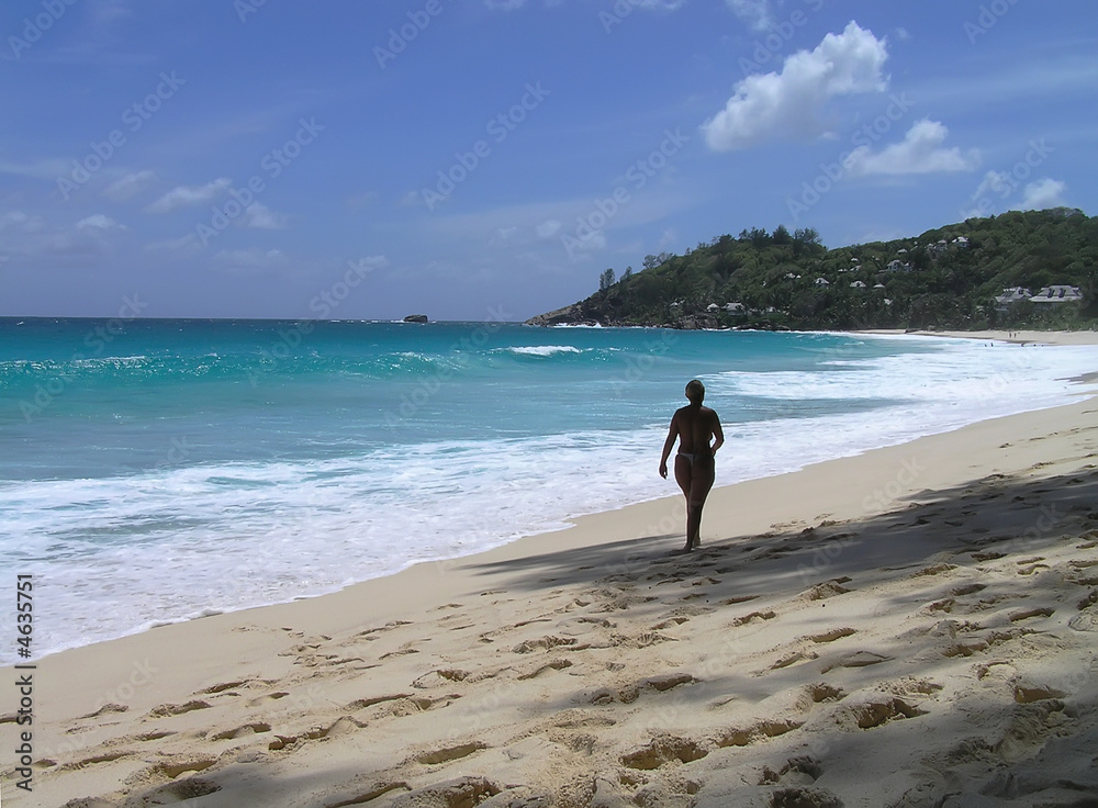 Fototapeta premium Seychelles
