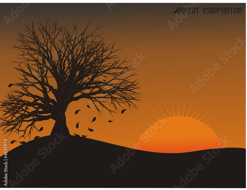 arbol en una colina en un atardecer