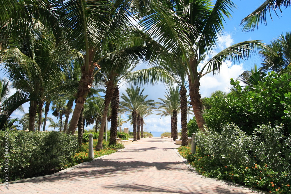 Tropical walkway to south beach