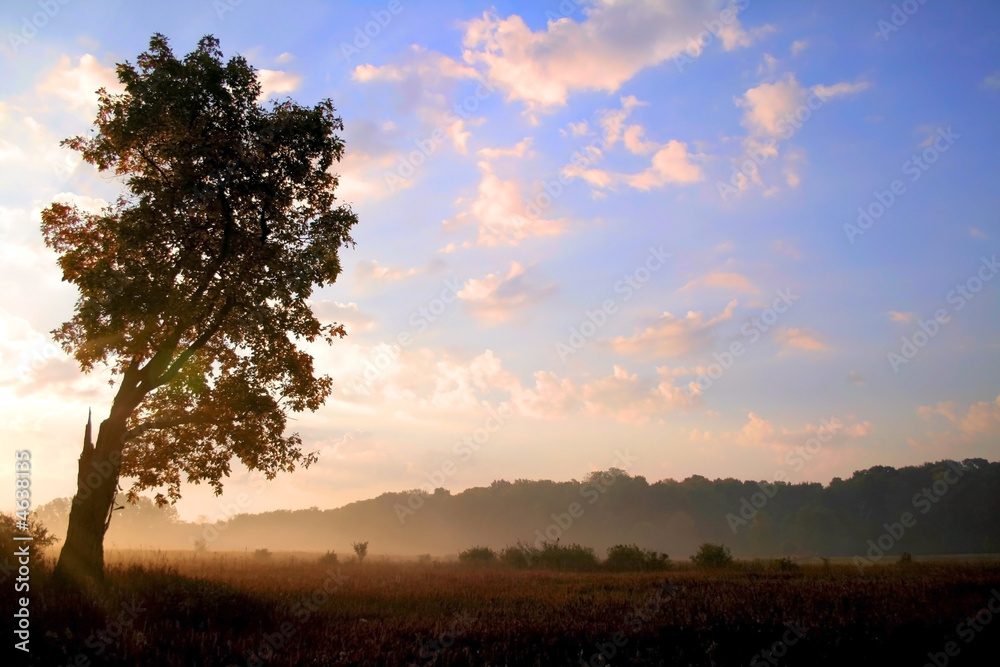 Morning Sun Rise