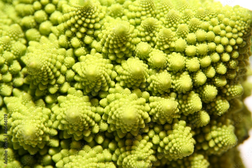 Romanesco Romanesco