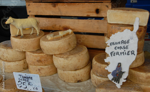 fromage de brebis photo