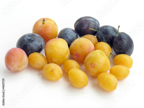 yellow and violet plums