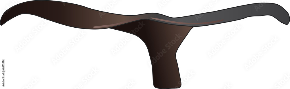 Obraz premium Queue de baleine