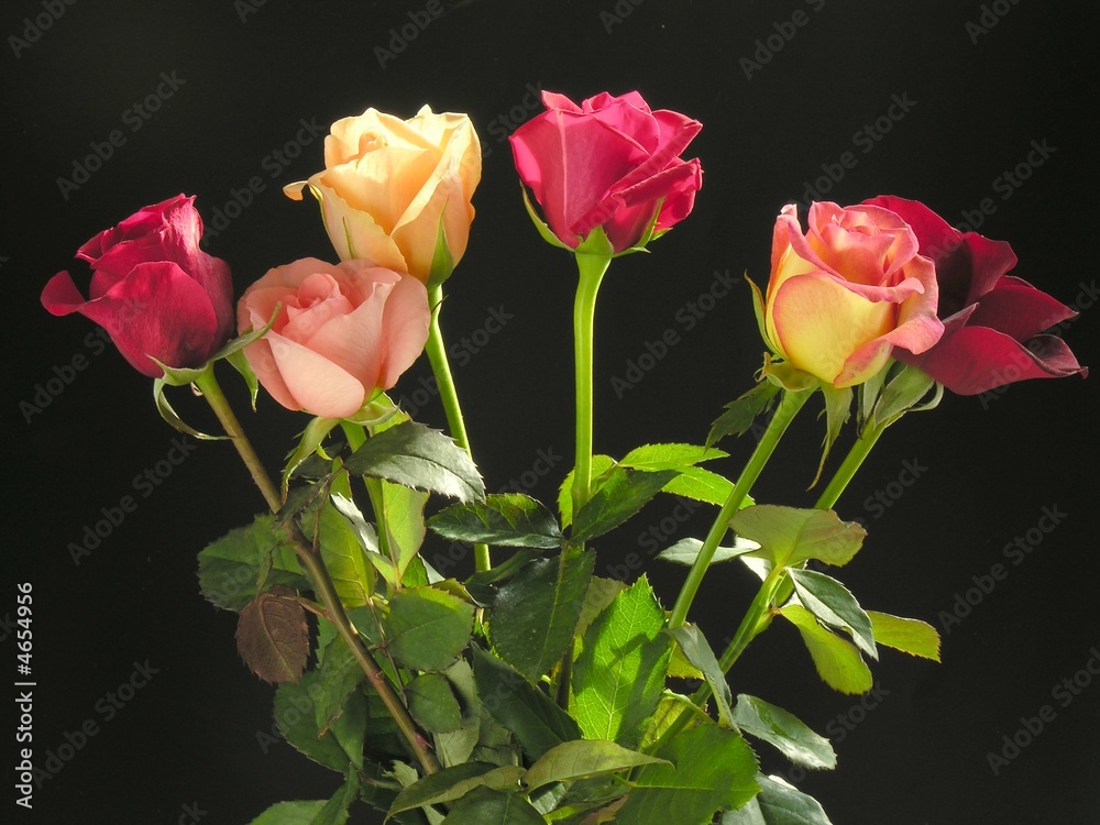 Obraz premium posy of multicolour roses