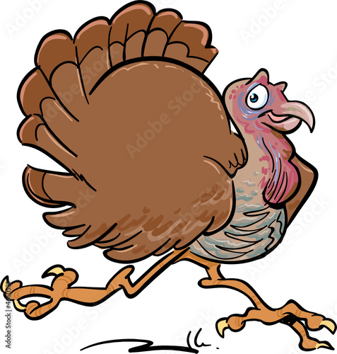 A running, happy Turkey