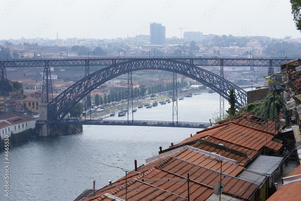 Obraz premium SONY DSC